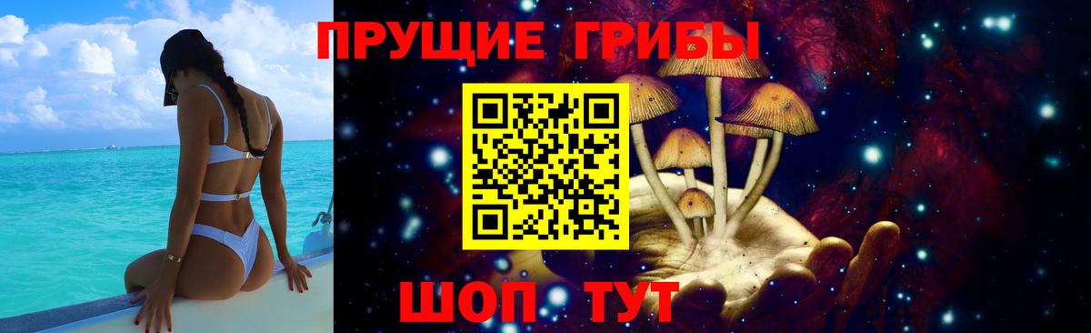 наркота  Псилоцибиновые грибы прущие грибы  Псилоцибиновые грибы Magic Shrooms  Вход с VPN  Свободный 
