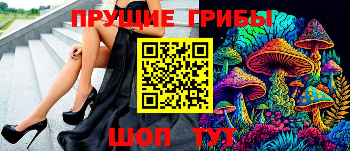 Псилоцибиновые грибы Cubensis Свободный