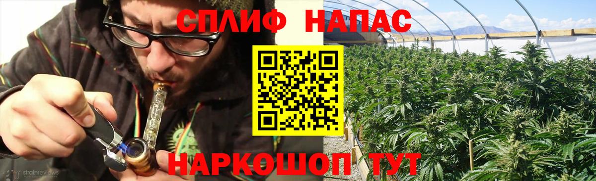 Каннабис планчик Свободный